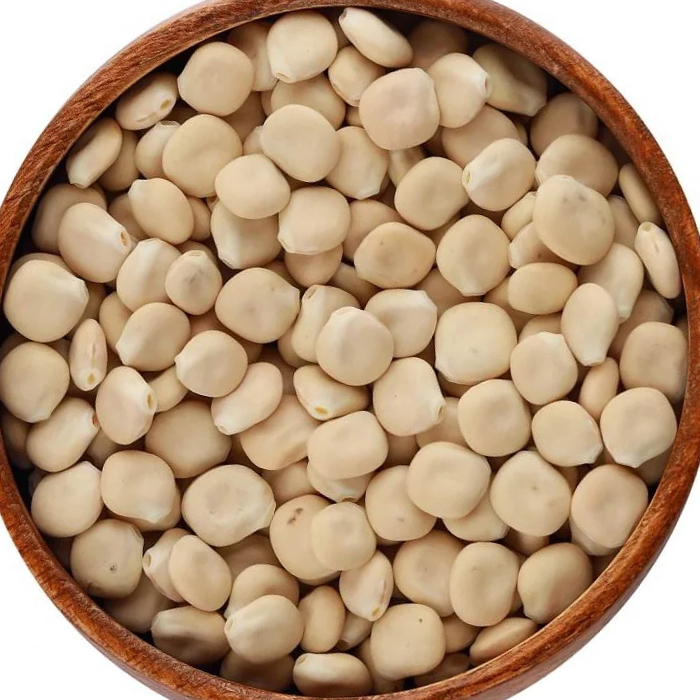 Lupine Seeds