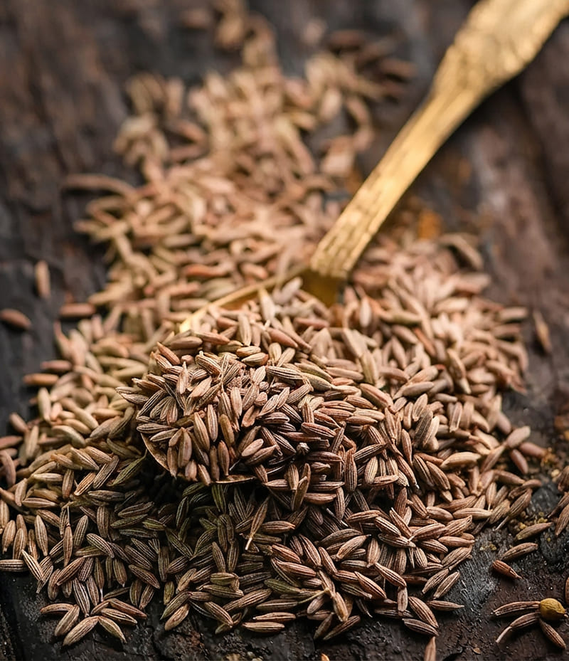Cumin Seeds